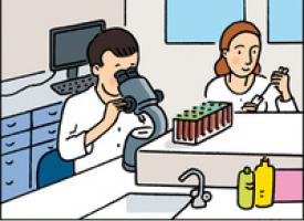 Dans un laboratoire, un tecnicien regarde dans un microscope et une technicienne met un produit dans une éprouvette avec une pipette.