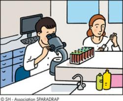 Dans un laboratoire, un tecnicien regarde dans un microscope et une technicienne met un produit dans une éprouvette avec une pipette.